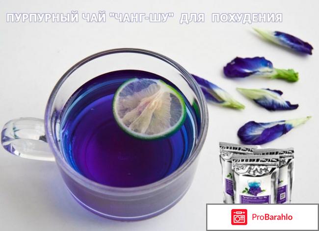 Пурпурный чай чанг шу отзывы реальные 