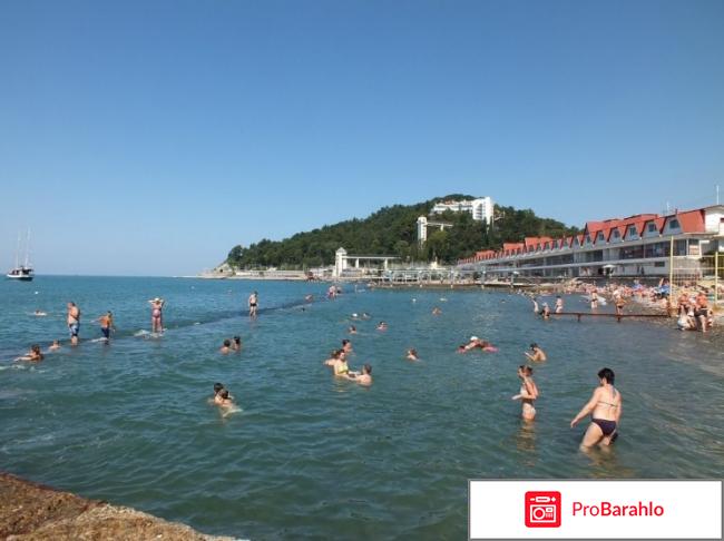 Хоста отзывы отдыхающих 2018 форум фото