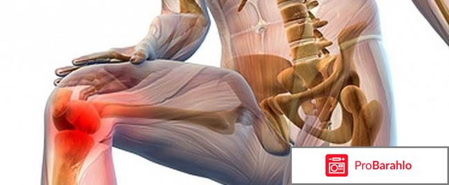 Алфлутоп отзывы врачей отрицательные отзывы