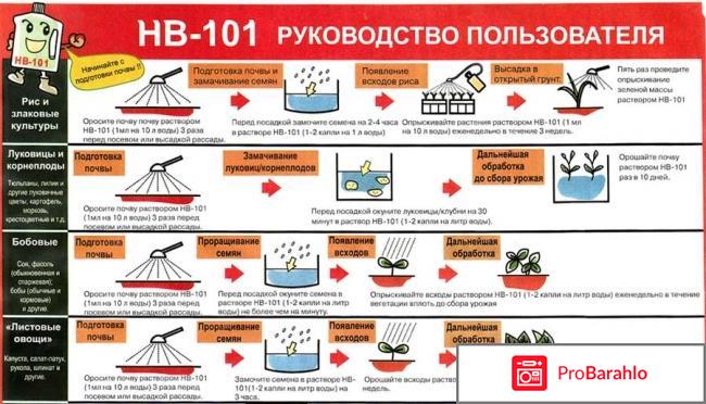 Биопрепарат HB-101. 