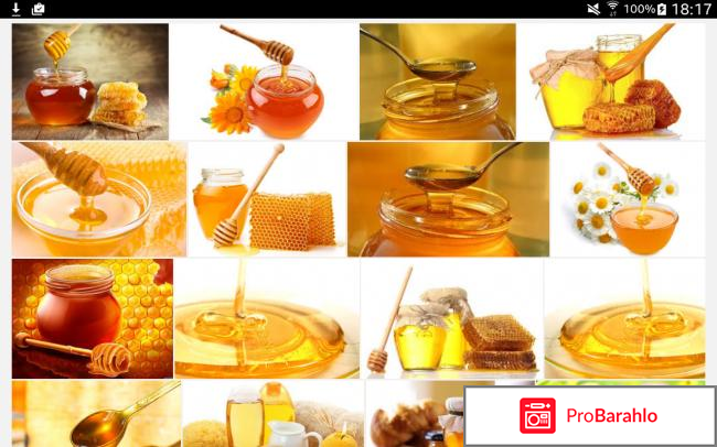 Медовая диета для похудения 