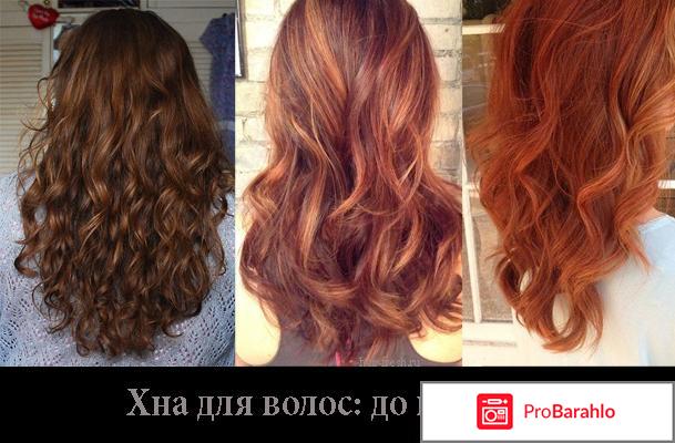 Иранская хна обман