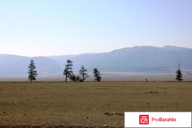 Отдых на алтае обман