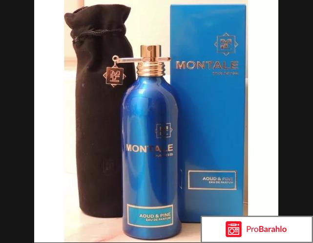 Отзывы montale aoud velvet 