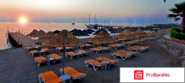 Champion holiday village отрицательные отзывы