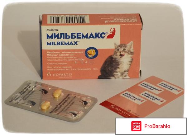 Глистогонное средство Мильбемакс Milbemax для котят и маленьких кошек 