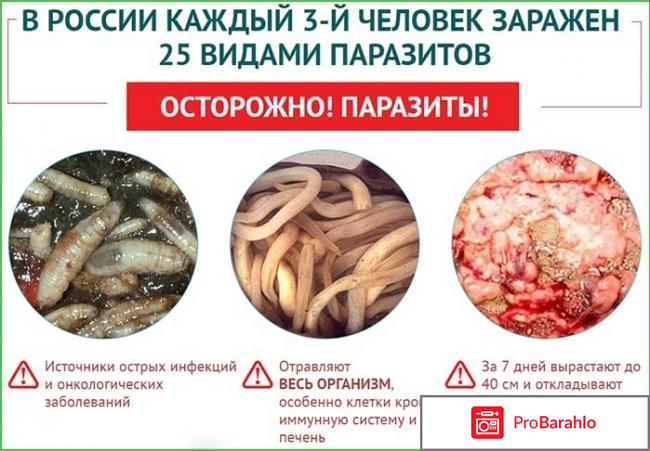 Bactefort цена обман