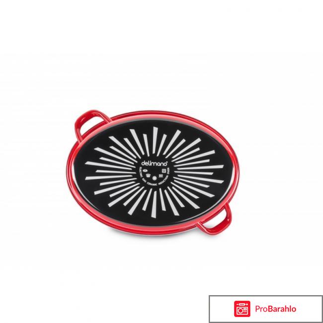 Гусятница Delimano «Сила камня» 2 в 1 фото