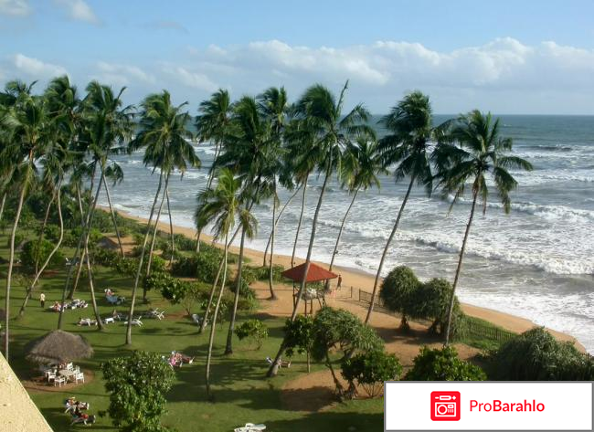 Шри ланка в ноябре отзывы туристов 