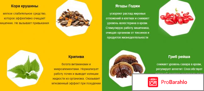 Easyslim капли отзывы реальные обман