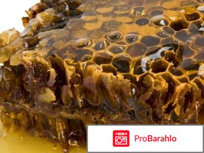 Папиловит (Papilovit) реальные отзывы