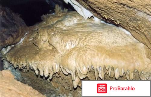 Каменное масло купить в москве 