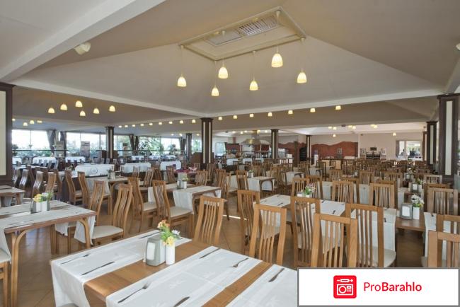 Aydinbey gold dreams 5 отзывы 2017 обман