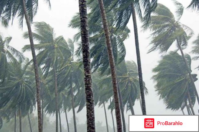 Таиланд погода в ноябре отзывы туристов реальные отзывы