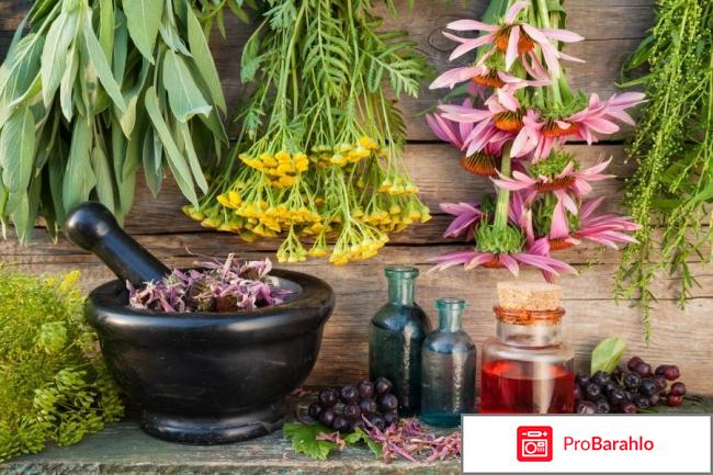 Гипотиазид отзывы отрицательные отзывы