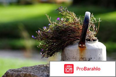 Сбор почечный обман