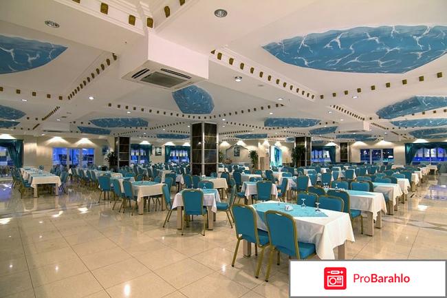 Daima biz отрицательные отзывы