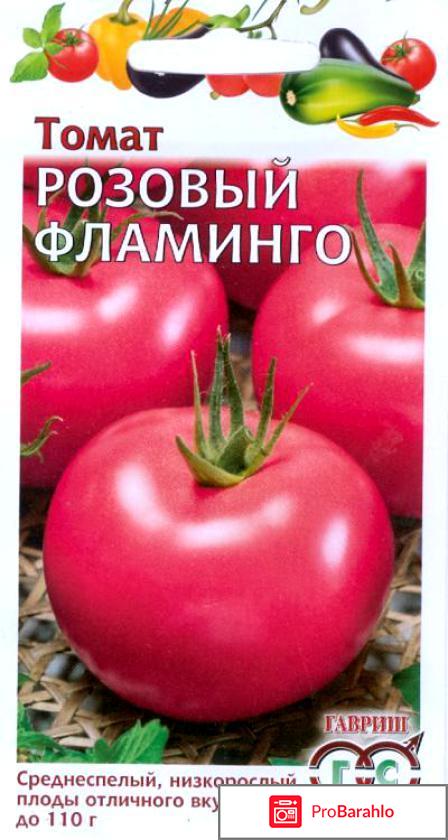 Томат фламинго отзывы фото