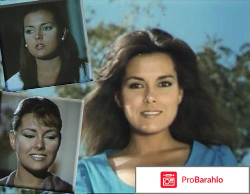 Королек - птичка певчая отзывы владельцев