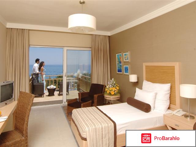 Фазелис клаб кемер реальные отзывы