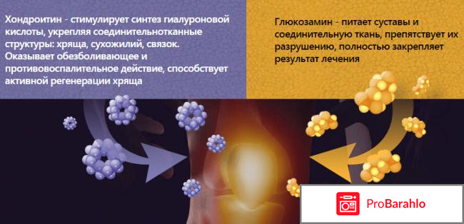 Артропант мазь аналоги обман