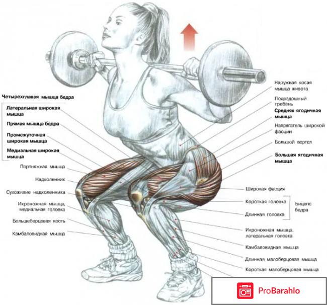 Классические приседания со штангой: техника, советы 
