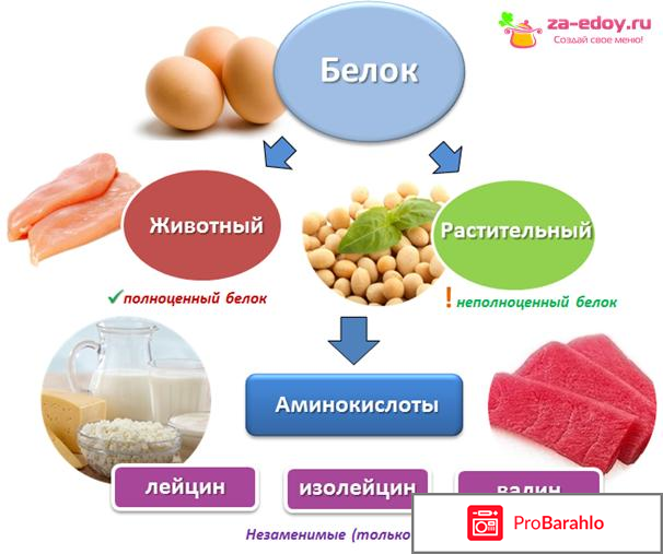 Белковая недостаточность реальные отзывы