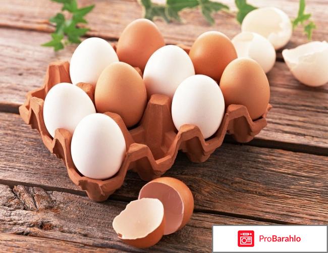 Можно ли есть яйца для похудения? 