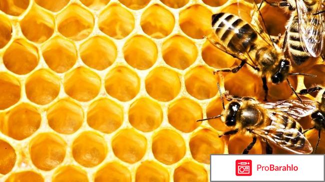 Бальзам Промедин. Отзывы и цены обман