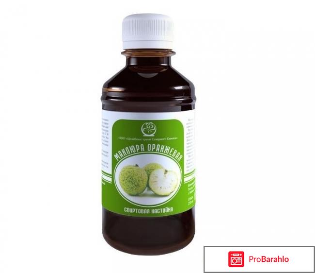 Настойка маклюры обман