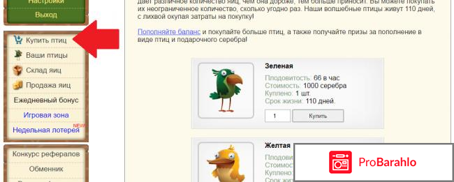 Зарабатывай на своих яйцах - money-birds.com отрицательные отзывы