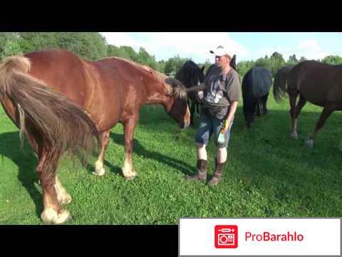 Креолин для людей лечение отзывы 