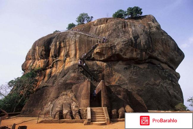 Шри ланка погода в ноябре отзывы туристов обман