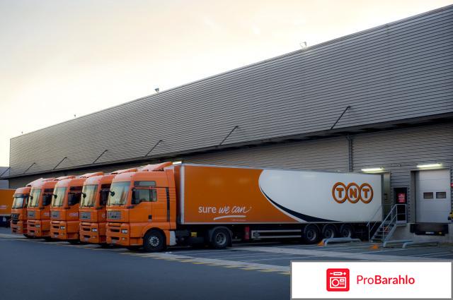 Tnt-express обман