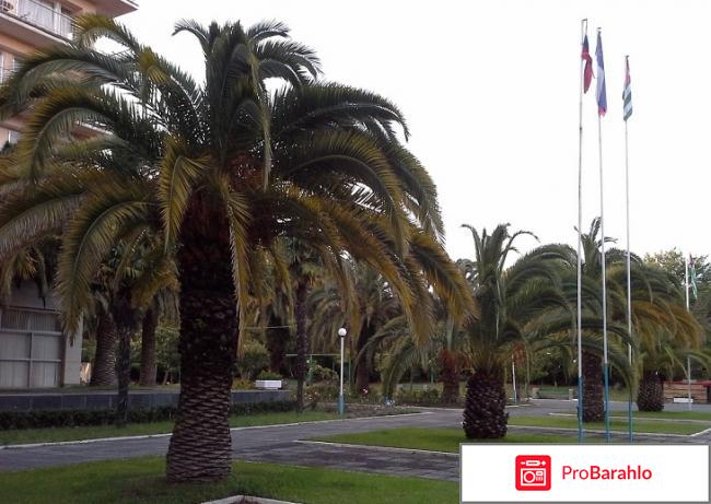 Литфонд абхазия