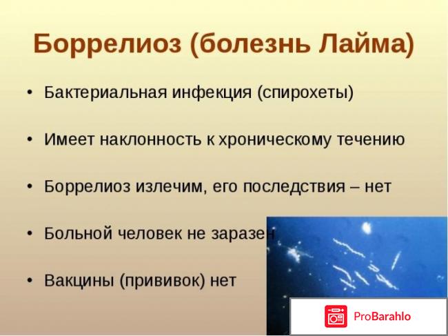 Результаты анализа на боррелиоз норма 