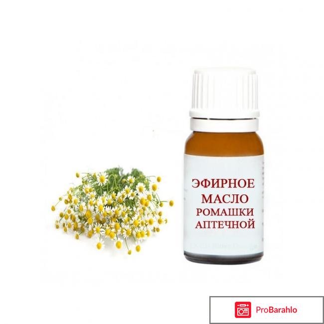 Осветление волос ромашкой отзывы фото