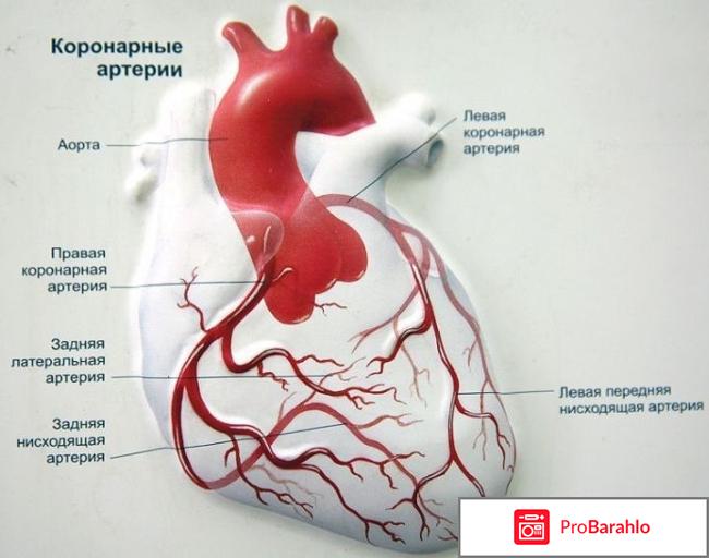 Коронар применение 