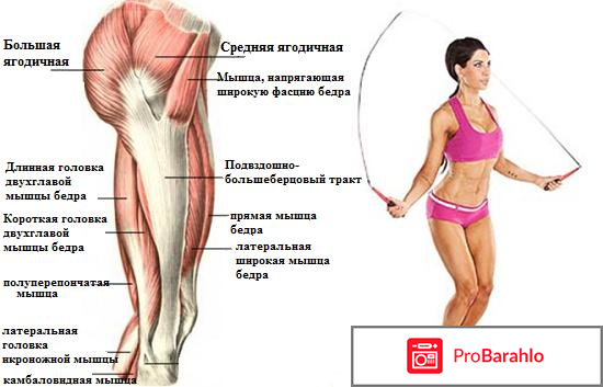 Похудение со скакалкой отзывы 