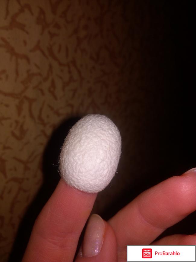 Коконы шелкопряда фото