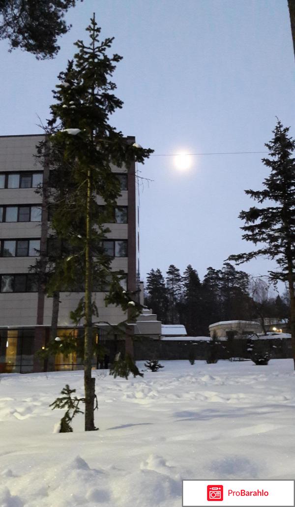 Лесные дали пансионат обман