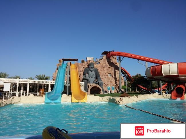 Египет в декабре погода отзывы туристов обман