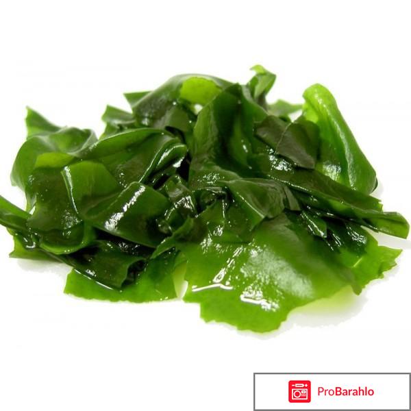 Водоросли ламинария обман