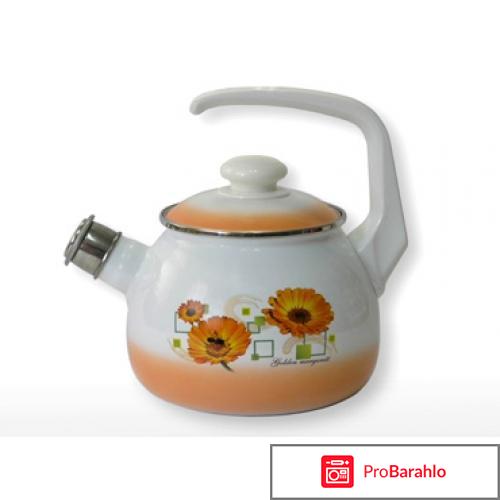 Какой чайник лучше купить обман