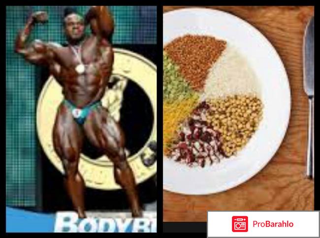 Роль гликогена в организме спортсмена 