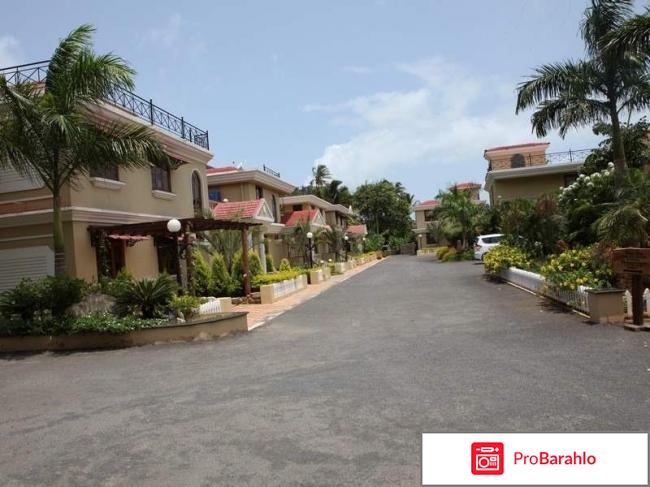 Joecons 3 отель гоа отзывы туристов обман