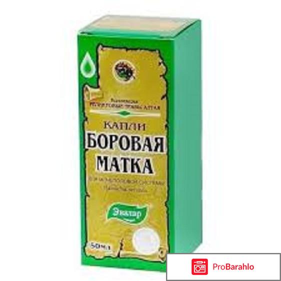 Боровая матка капли 