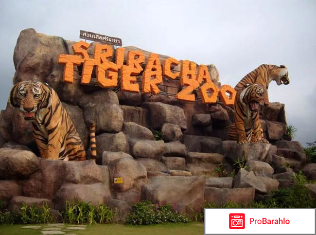 Экскурсии в паттайе 2017 отзывы туристов отрицательные отзывы