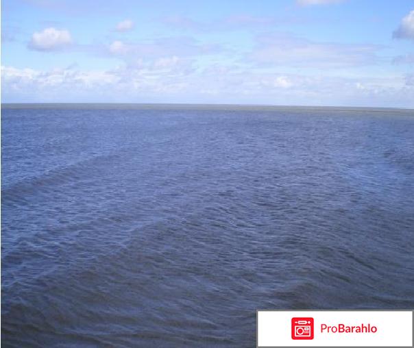 Приморско ахтарск отдых отзывы владельцев