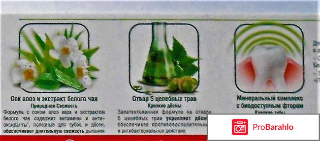 Зубная паста Лесной бальзам Укрепление десен и зубов 